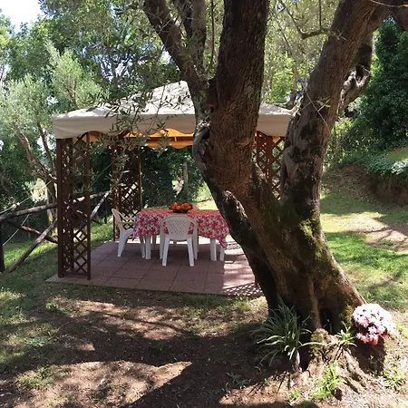 Hotel Azzurro *